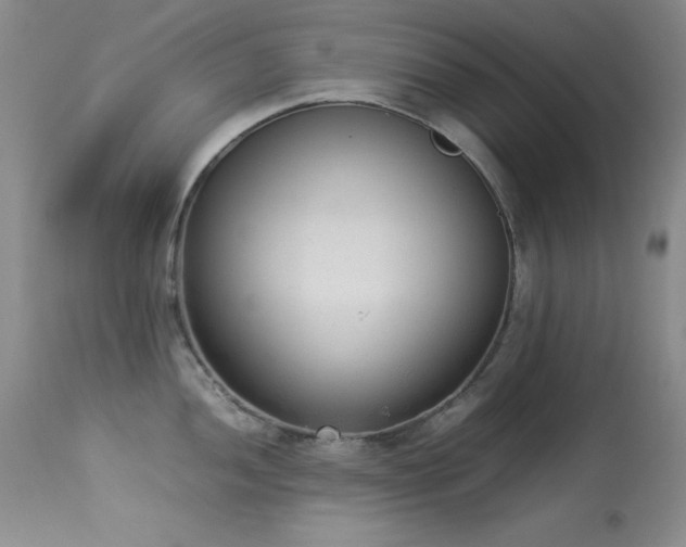 X0000114221052200910091343