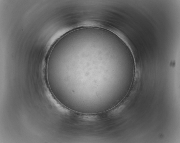 X0000114221053200910091343