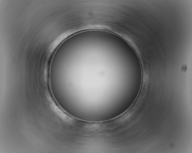 X0000114221054200910091343