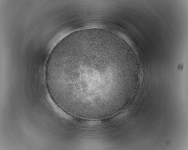 X0000114221055200910091343