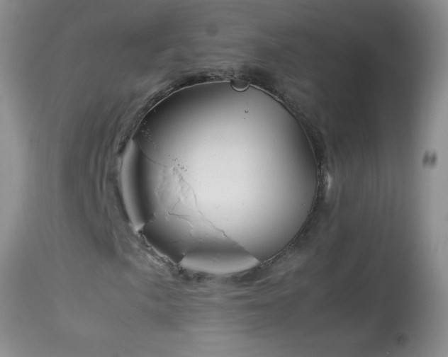 X0000114221057200910091342