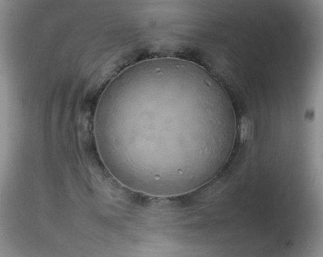 X0000114221059200910091342