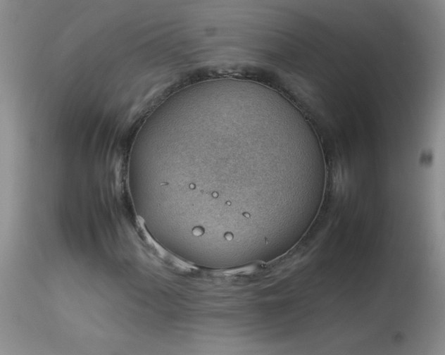 X0000114221060200910091342