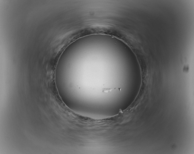 X0000114221061200910091342