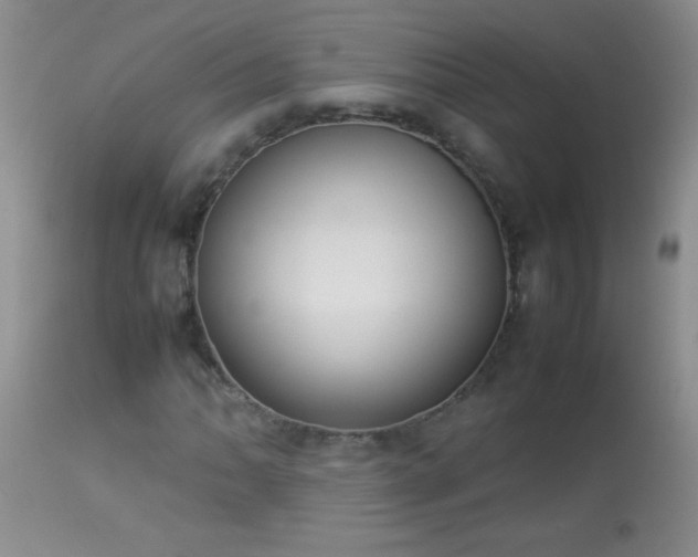 X0000114221062200910091342