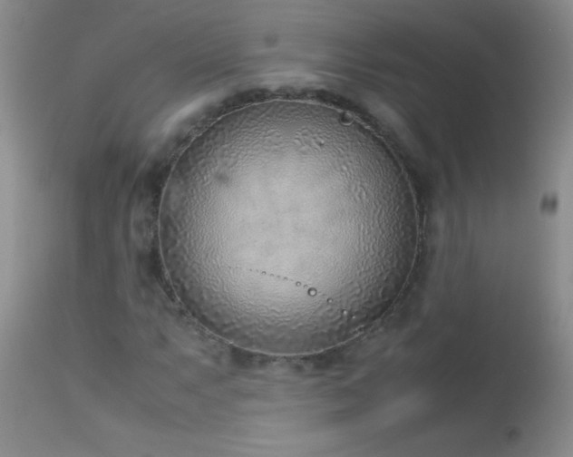 X0000114221063200910091342