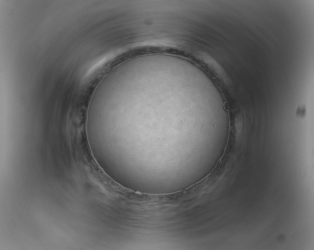 X0000114221064200910091342