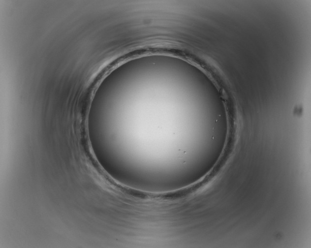 X0000114221065200910091342