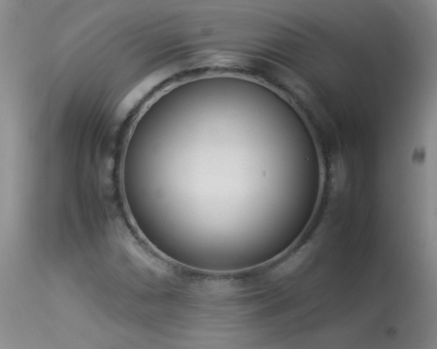 X0000114221066200910091342