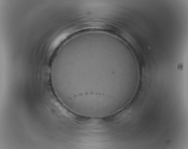 X0000114221067200910091342