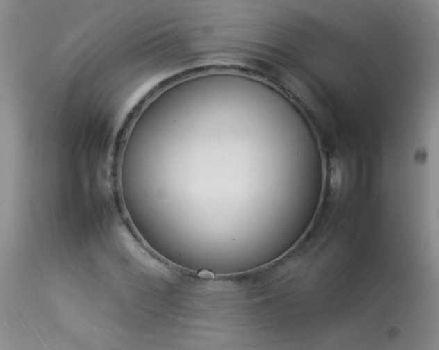 X0000114221068200910091342