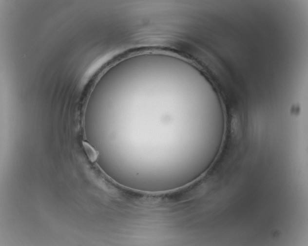 X0000114221069200910091342