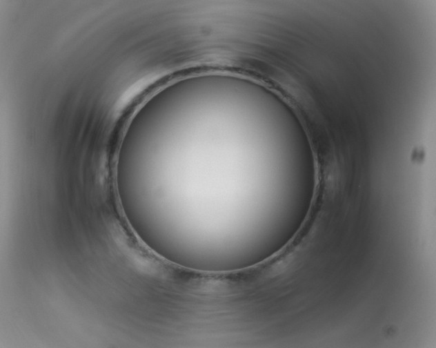 X0000114221070200910091342