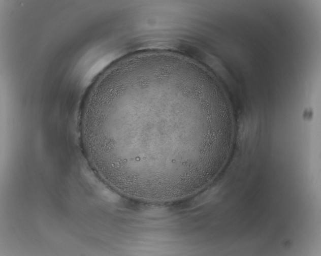 X0000114221071200910091342