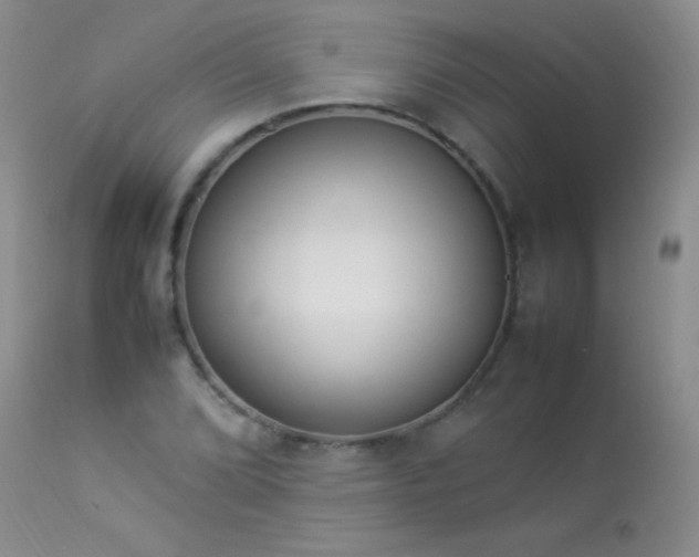 X0000114221072200910091342