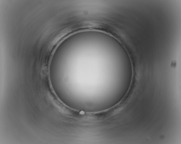 X0000114221073200910091342