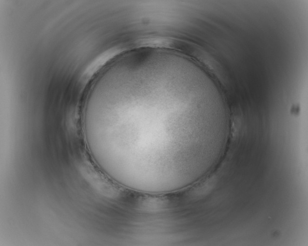 X0000114221074200910091342