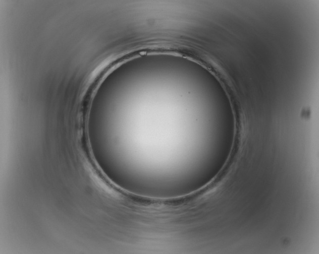 X0000114221075200910091342