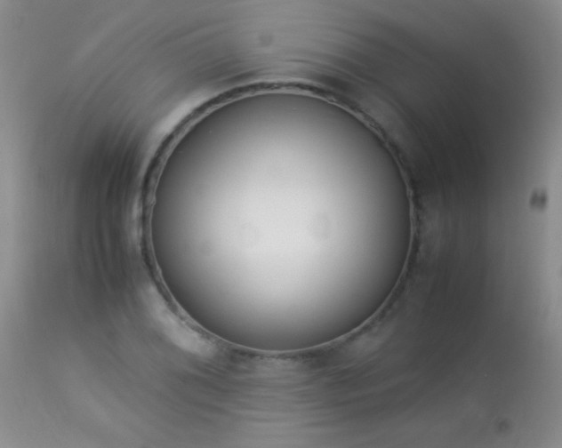 X0000114221076200910091342