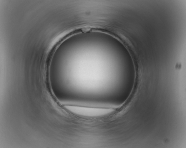 X0000114221077200910091342