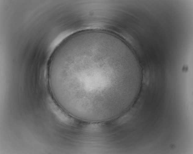 X0000114221078200910091342