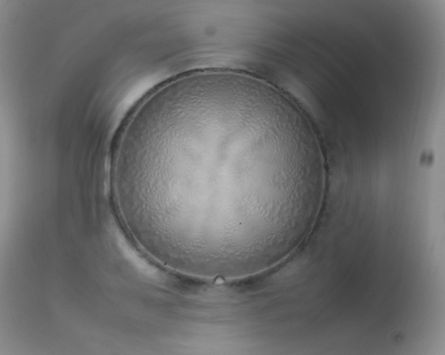 X0000114221079200910091342