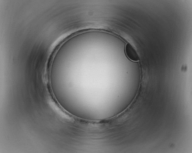 X0000114221080200910091342