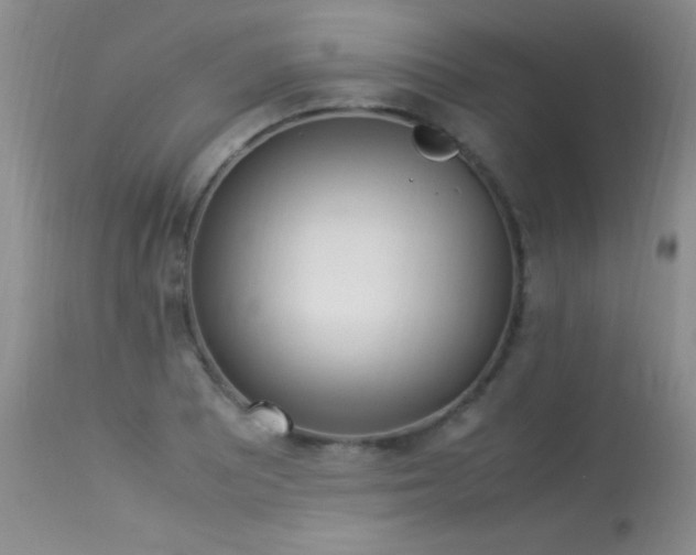 X0000114221081200910091342