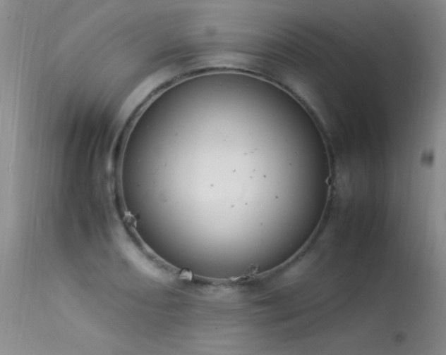 X0000114221082200910091342