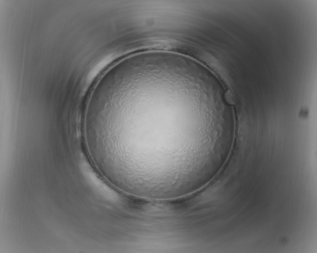 X0000114221083200910091342