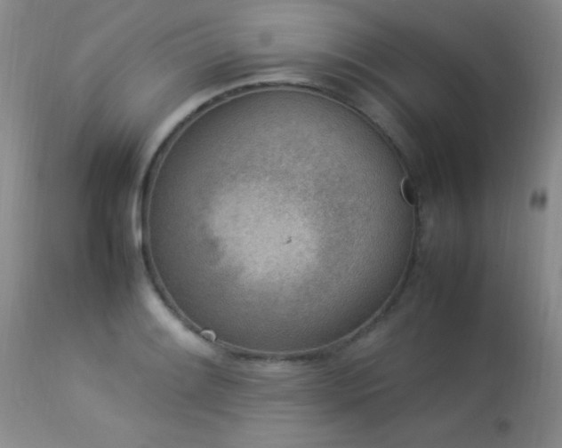 X0000114221084200910091342