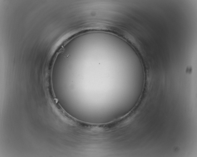 X0000114221085200910091342