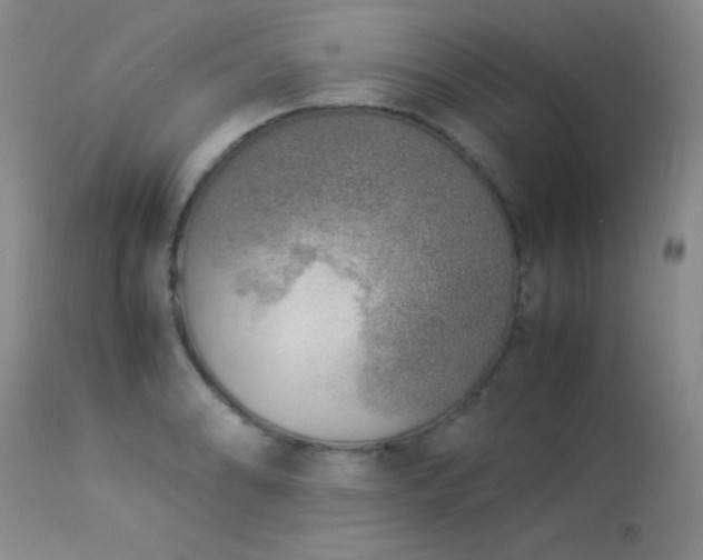 X0000114221086200910091342