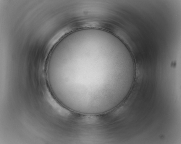 X0000114221090200910091342