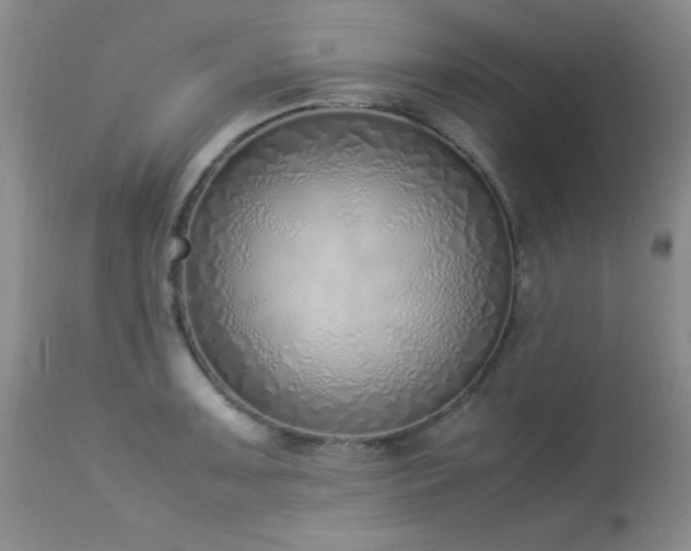 X0000114221091200910091342