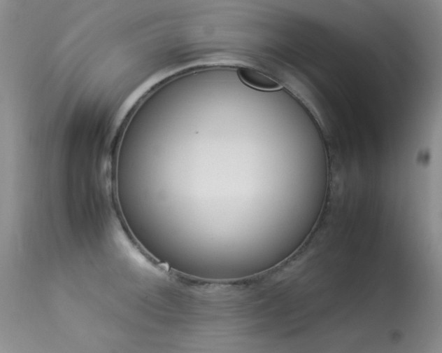 X0000114221092200910091342