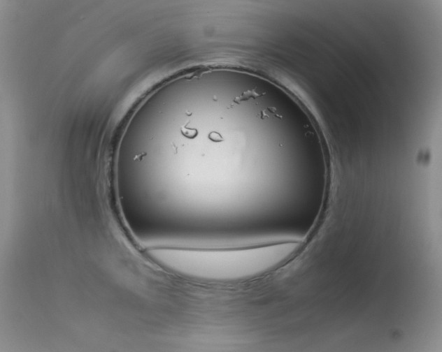 X0000114221093200910091342