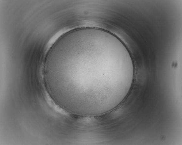 X0000114221094200910091342