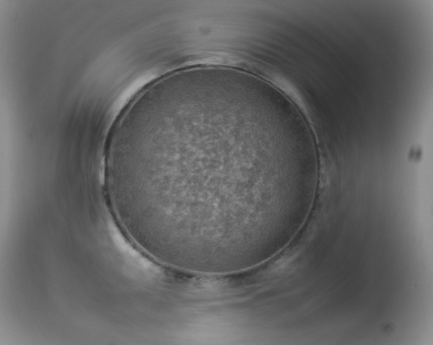 X0000114221095200910091342