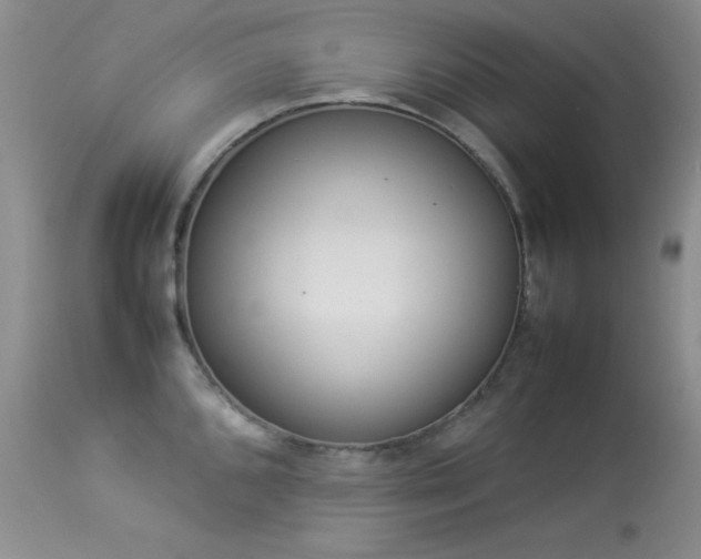 X0000114221096200910091342