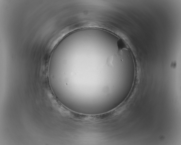 X0000114221097200910091342