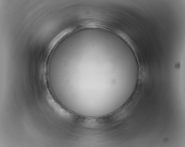 X0000114221098200910091341