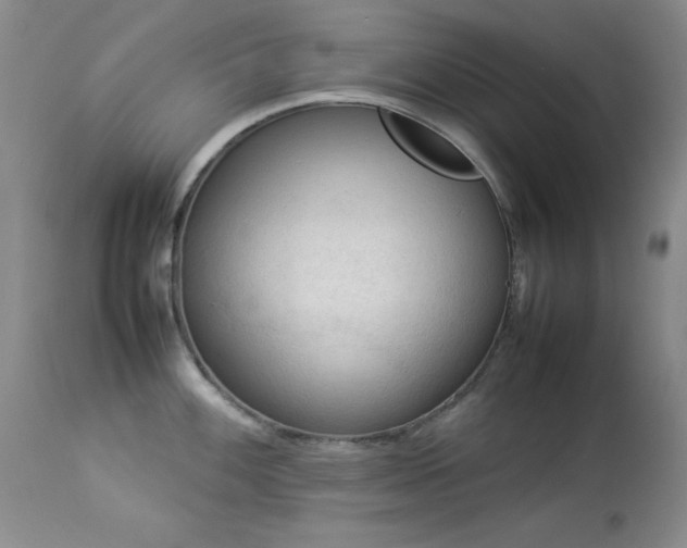 X0000114221100200910091341
