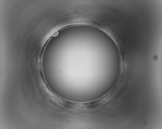 X0000114221101200910091341