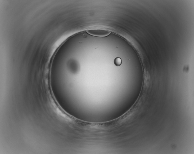X0000114221102200910091341