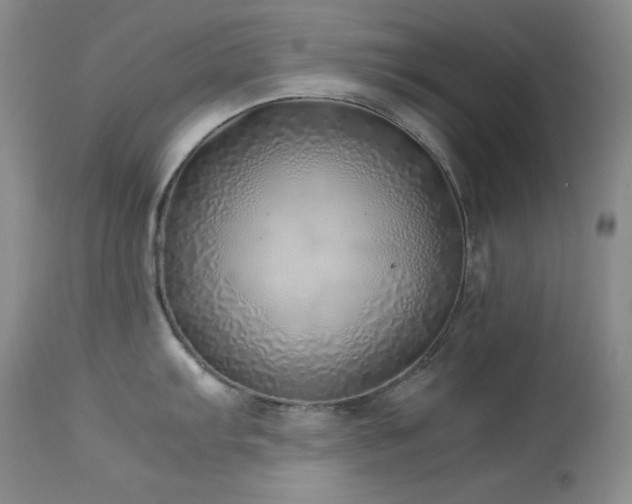 X0000114221103200910091341
