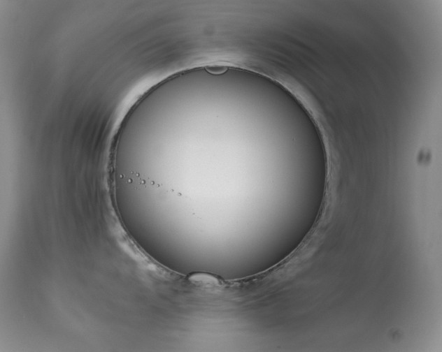 X0000114221104200910091341