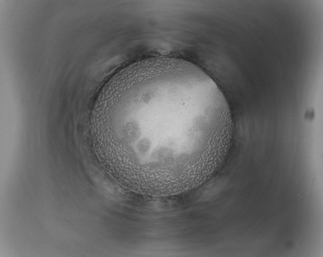 X0000114221105200910091341