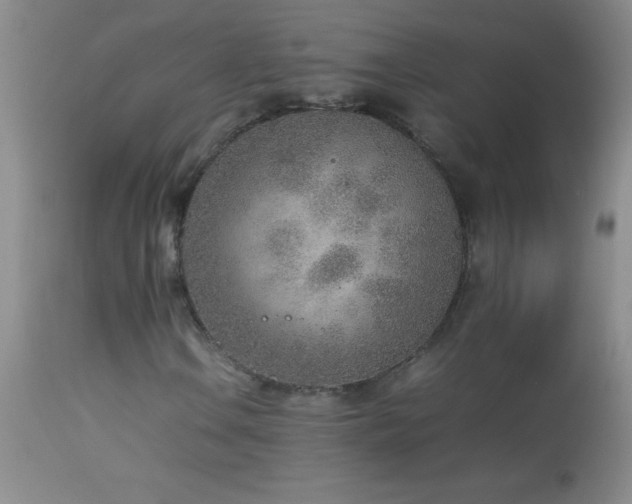 X0000114221106200910091341