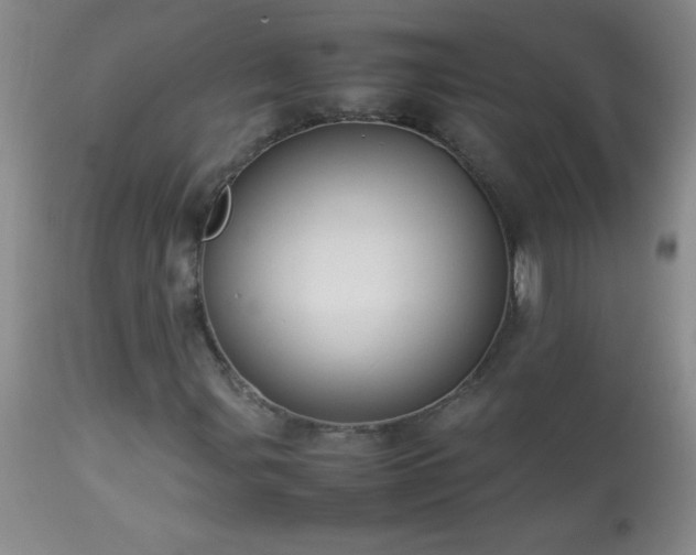 X0000114221107200910091341
